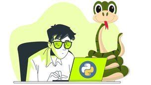python mega course go beginner to expert in python3|The Ultimate Guide to Python: How to Go From .